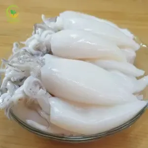 Squid Meat (Fish) - স্কুইড মিট (মাছ)